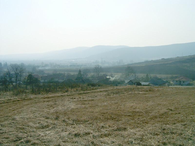 20110312 069.jpg